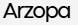 arzopa.shop